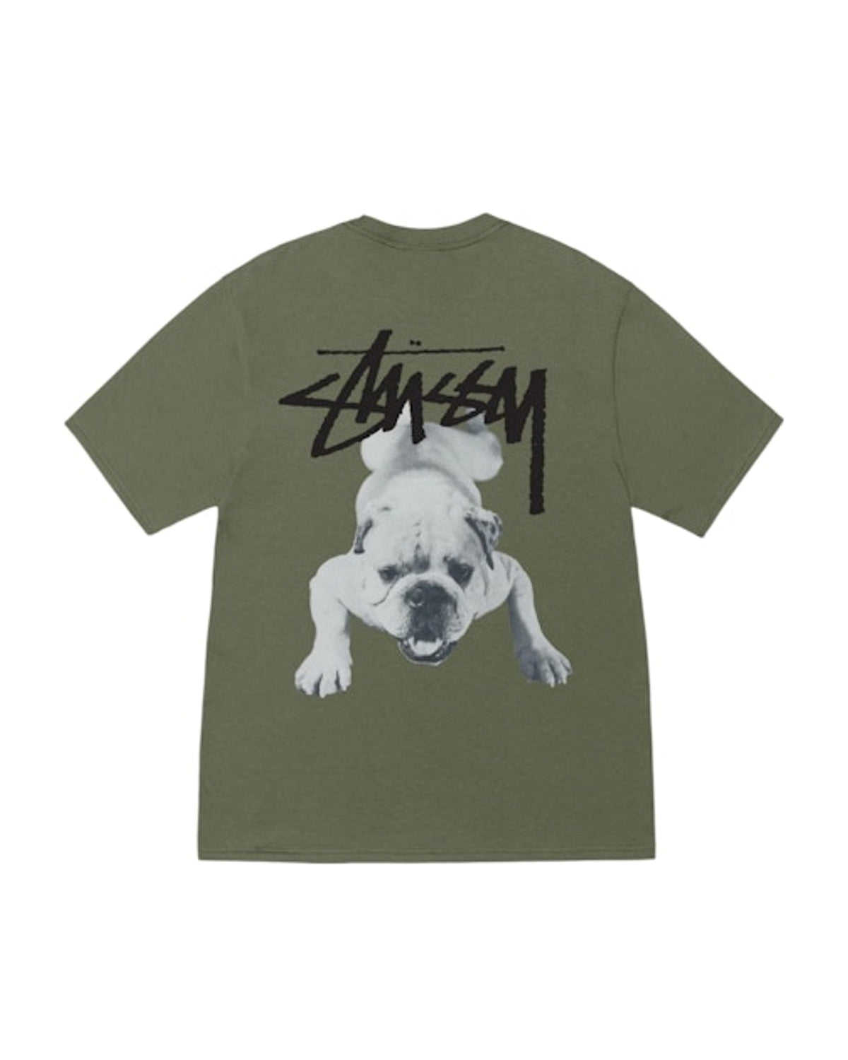 Stussy Stock Dog Tee Olive