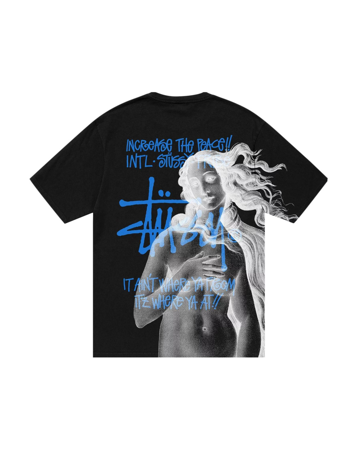 Stussy Pigment Dyed Venus Tee mustana, takakuva sinisellä graffiti-logolla ja Venus-printillä