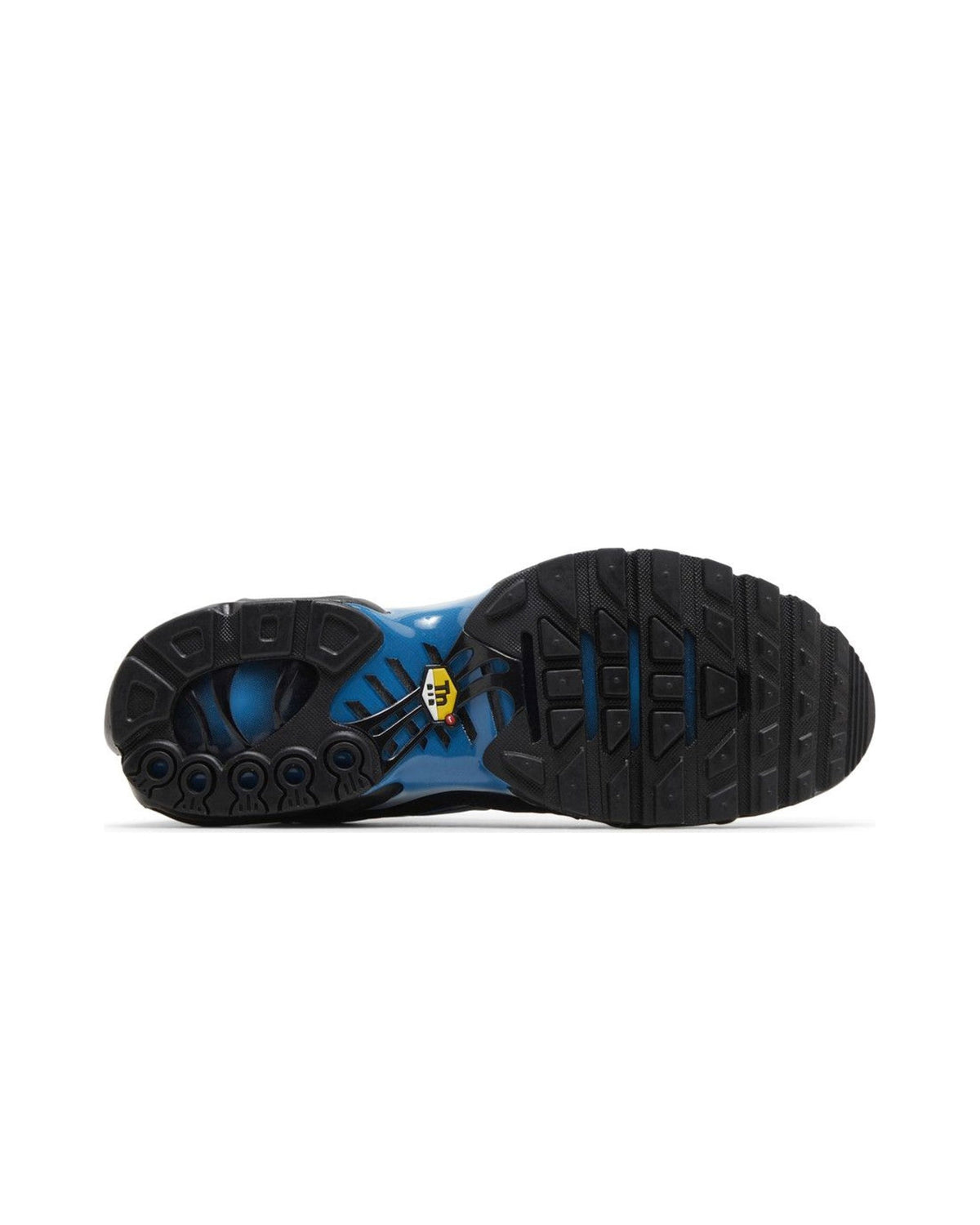 Nike Air Max Plus Blue Gradient