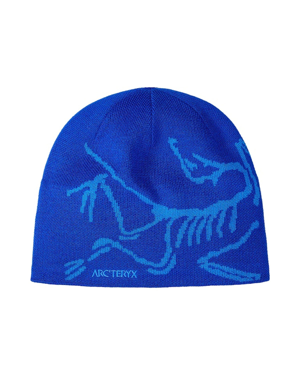 Arc'teryx Bird Head Toque Beanie Vitality/Fluidity