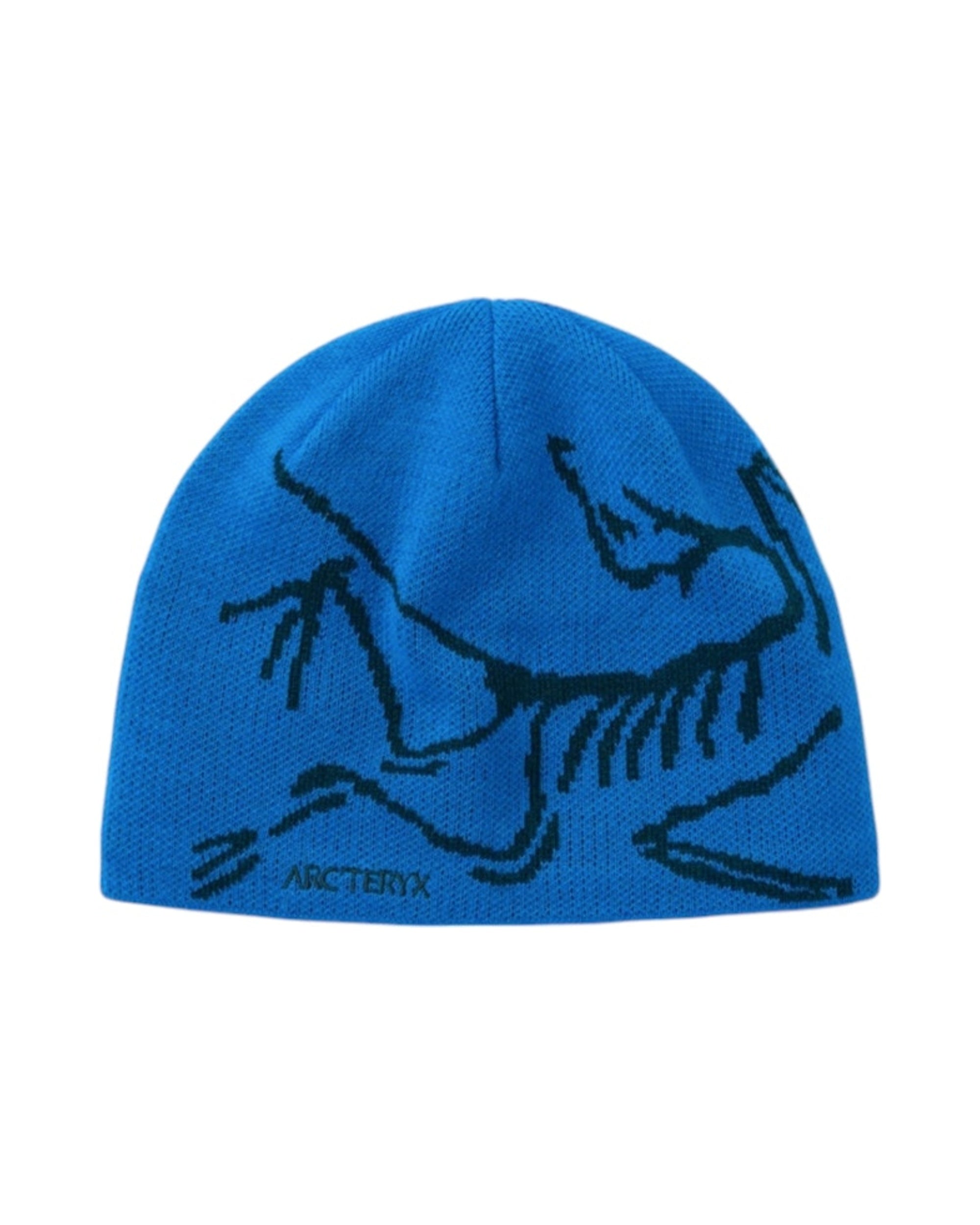 Arc'teryx Bird Head Toque Beanie Fluidity/Labyrinth